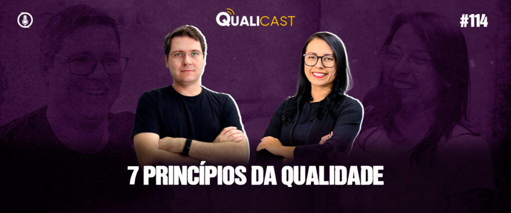 7 princípios da qualidade